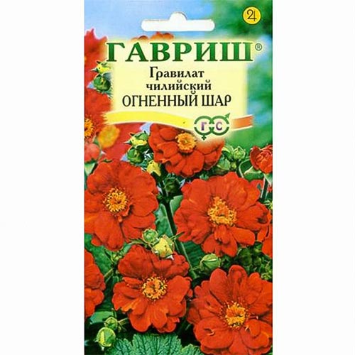 Гравилат Огненный шар, семена артикул фото 1 Гравилат Огненный шар, семена изображение 1 артикул 92038