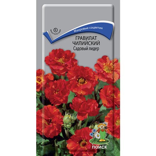 Гравилат Садовый лидер, семена артикул фото 1 Гравилат Садовый лидер, семена изображение 1 артикул 92959