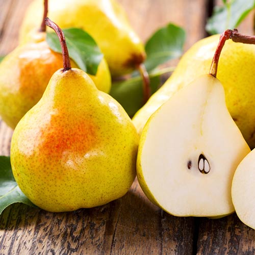 Груша Дюшес летний артикул фото 1 Груша Дюшес летний изображение 1 артикул 7418