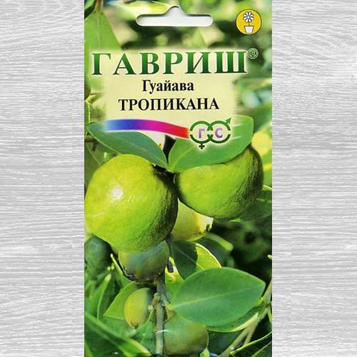 Гуайава Тропикана Гавриш изображение 1 артикул 73730