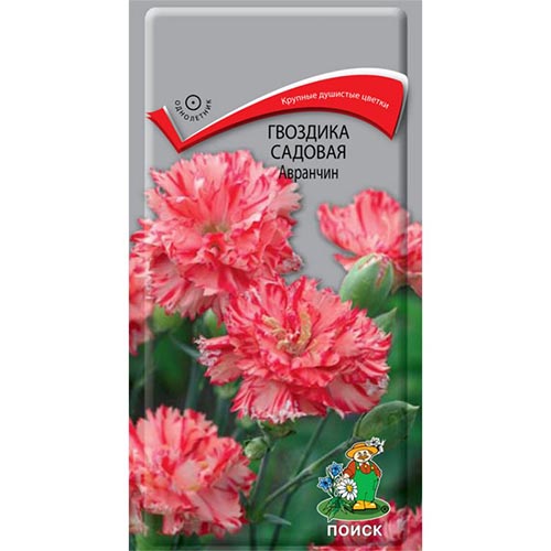 Гвоздика Авранчин, семена изображение 1 артикул 92936