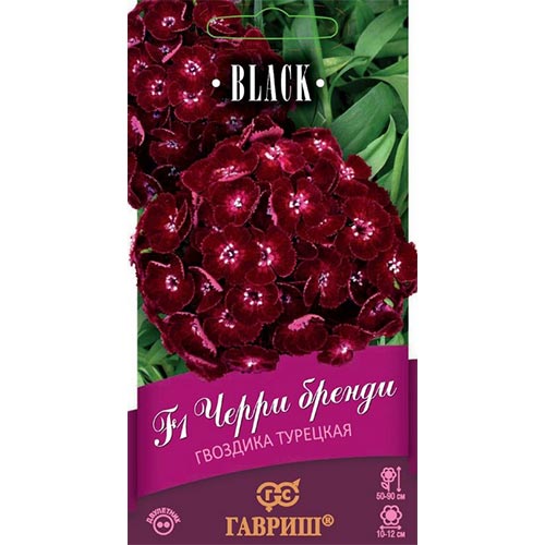 Гвоздика бородатая Черри бренди F1, семена изображение 1 артикул 92006