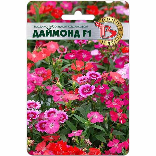 Гвоздика гибридная карликовая Даймонд F1, смесь окрасок Биотехника изображение 1 артикул 74824