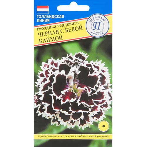 Гвоздика Геддевига Черная с белой каймой  Престиж изображение 1 артикул 73632