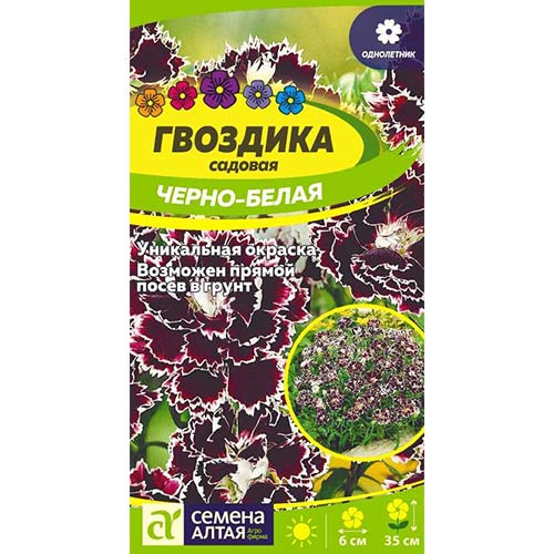 Гвоздика Геддевига Черно-белая Семена Алтая изображение 1 артикул 78136