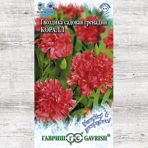 Гвоздика гренадин Коралл Гавриш изображение 1 артикул 71168
