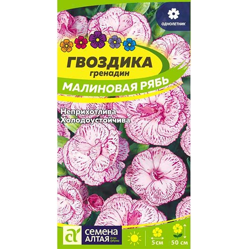 Гвоздика гренадин Малиновая рябь, семена изображение 1 артикул 94155