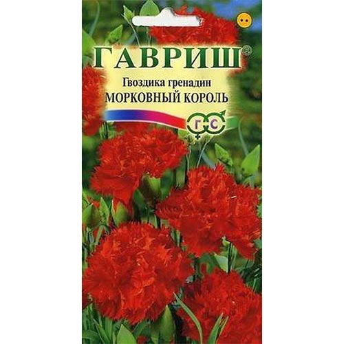 Гвоздика гренадин Морковный Король, семена изображение 1 артикул 92007