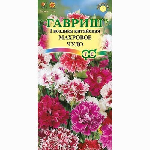 Гвоздика садовая Гренадин Роза Гавриш изображение 1 артикул 71169