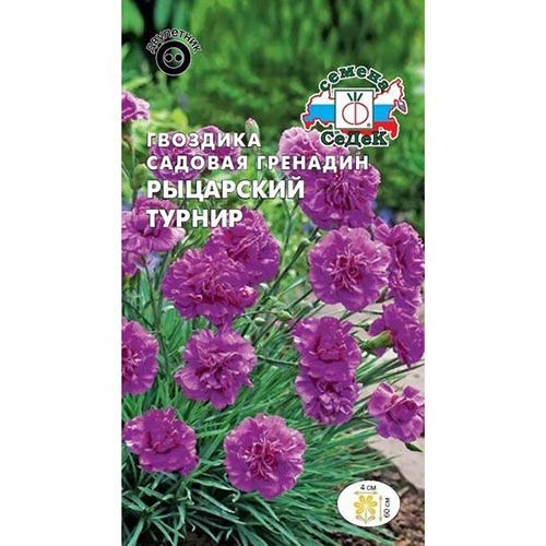 Гвоздика гренадин Рыцарский турнир, семена изображение 1 артикул 93724