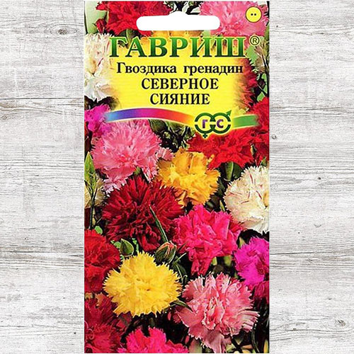 Гвоздика гренадин Северное сияние, смесь окрасок Гавриш изображение 1 артикул 71170