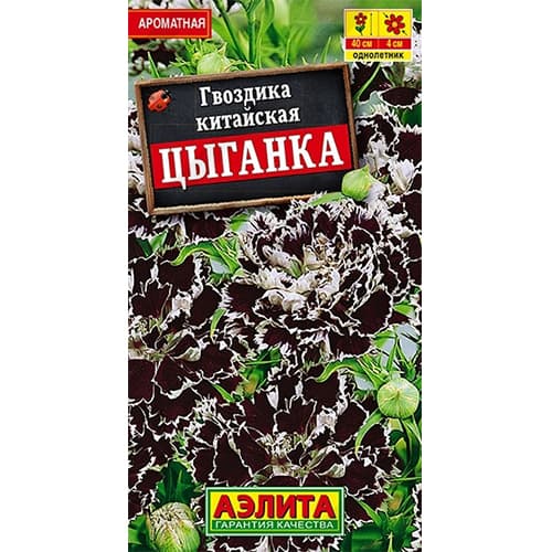 Гвоздика китайская Цыганка Аэлита изображение 1 артикул 40333
