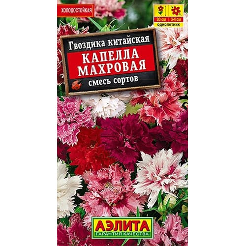 Гвоздика китайская Капелла махровая, смесь окрасок Аэлита изображение 1 артикул 40327