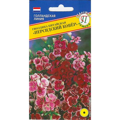 Гвоздика китайская Персидский ковер, смесь окрасок Престиж изображение 1 артикул 81332