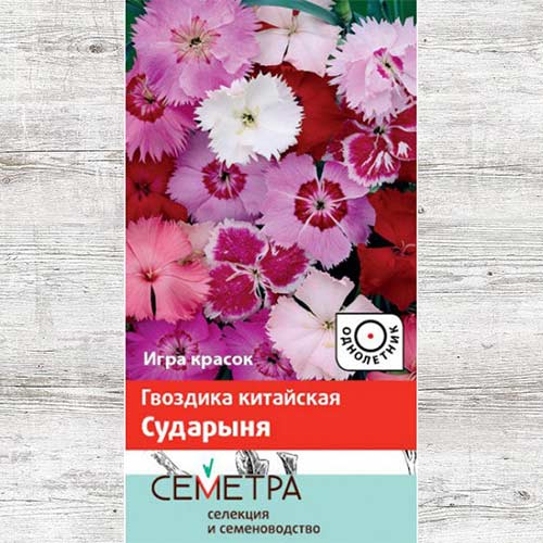 Гвоздика китайская Сударыня, смесь окрасок изображение 1 артикул 82098