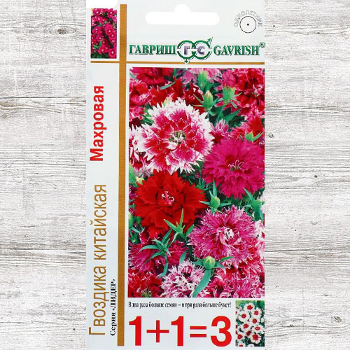 Гвоздика махровая Китайская, смесь окрасок Гавриш изображение 1 артикул 65947