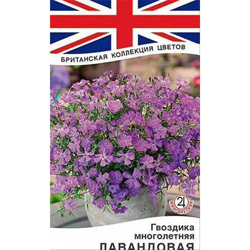 Гвоздика многолетняя лавандовая Аэлита изображение 1 артикул 98915