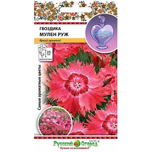 Гвоздика Мулен Руж, семена изображение 1 артикул 92487
