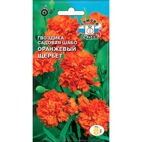 Гвоздика Оранжевый щербет, семена изображение 1 артикул 93727