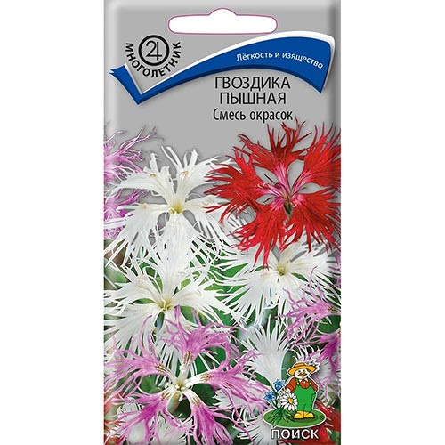 Гвоздика пышная, смесь окрасок изображение 1 артикул 92937