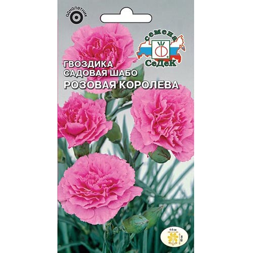 Гвоздика Розовая Королев, семена изображение 1 артикул 93728