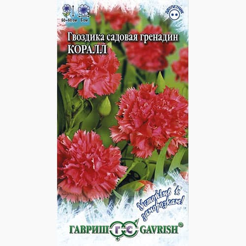 Гвоздика садовая Гренадин Коралл Гавриш изображение 1 артикул 97659
