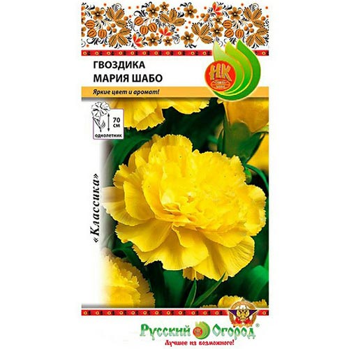 Гвоздика Шабо Мария, семена изображение 1 артикул 92490