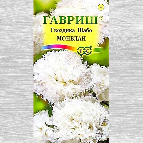 Гвоздика Шабо Монблан Гавриш изображение 1 артикул 82354