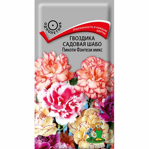 Гвоздика Шабо Пикоти Фэнтези, смесь окрасок Поиск изображение 1 артикул 82101
