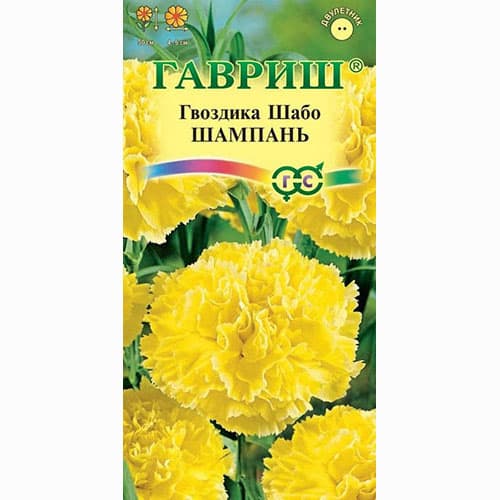 Гвоздика садовая Шабо Шампань Гавриш изображение 1 артикул 73698