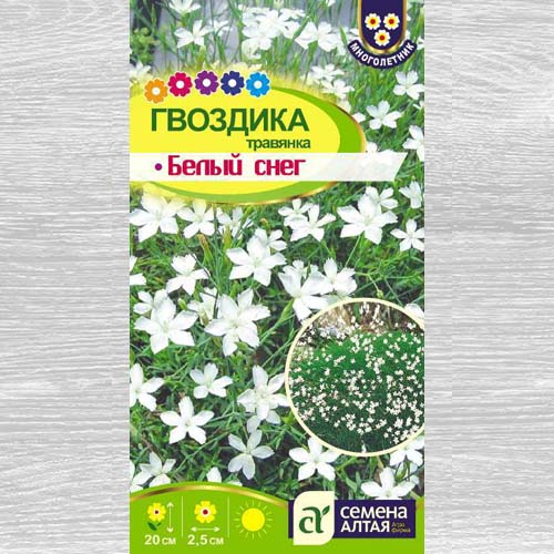 Гвоздика травянка Белый снег изображение 1 артикул 78192