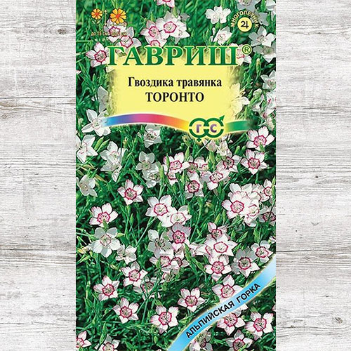 Гвоздика травянка Торонто Гавриш изображение 1 артикул 71100