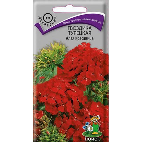 Гвоздика турецкая Алая красавица, семена изображение 1 артикул 92939