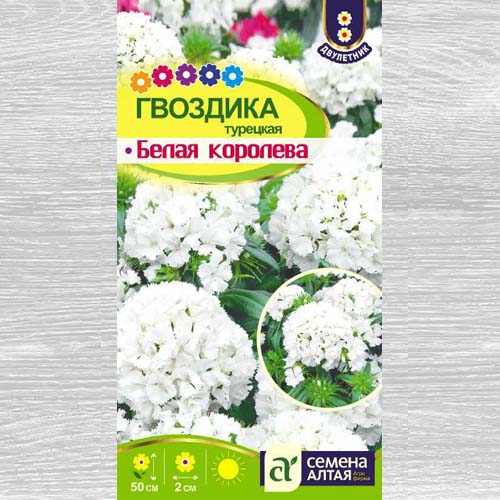 Гвоздика турецкая Белая Королева изображение 1 артикул 78191
