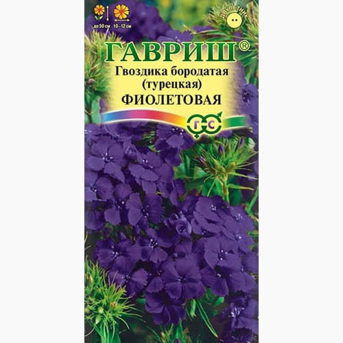 Гвоздика (турецкая) бородатая Фиолетовая Гавриш артикул фото 1 Гвоздика (турецкая) бородатая Фиолетовая Гавриш изображение 1 артикул 97655