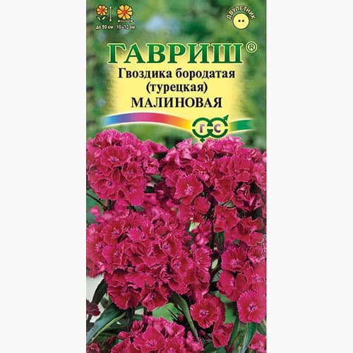 Гвоздика (турецкая) бородатая Малиновая Гавриш изображение 1 артикул 97652