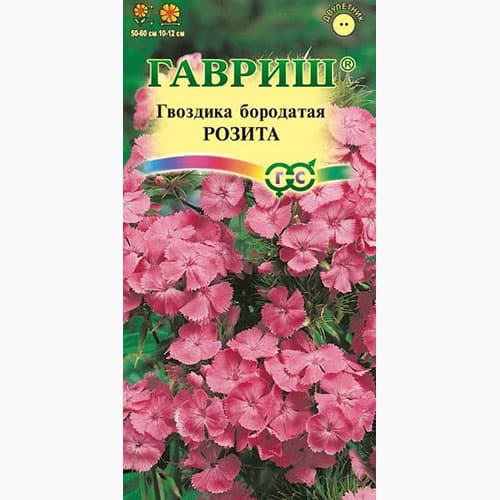 Гвоздика (турецкая) бородатая Розита Гавриш изображение 1 артикул 97653