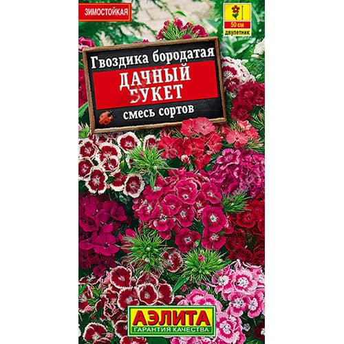 Гвоздика турецкая Дачный букет, смесь окрасок Аэлита изображение 1 артикул 98925