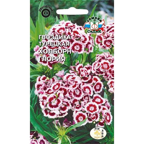 Гвоздика турецкая Холборн Глория, семена изображение 1 артикул 93732