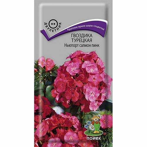 Гвоздика турецкая Ньюпорт Салмон Пинк Поиск изображение 1 артикул 82099