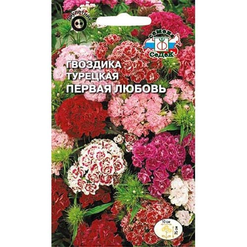 Гвоздика турецкая Первая любовь, смесь окрасок изображение 1 артикул 93729