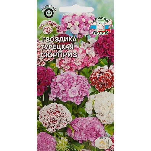 Гвоздика турецкая Сюрприз, смесь окрасок изображение 1 артикул 93730