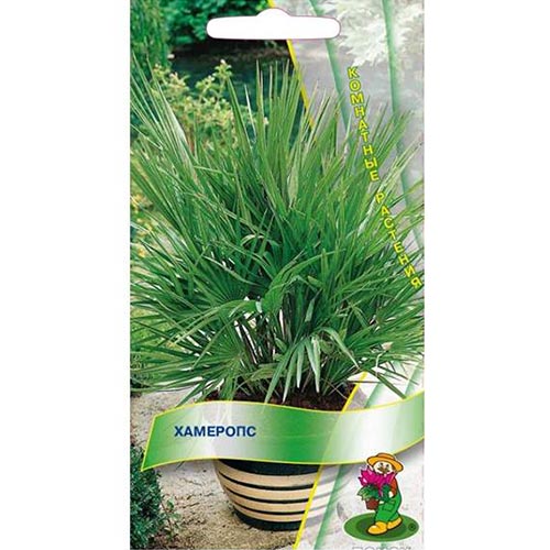 Хамеропс, семена изображение 1 артикул 93140