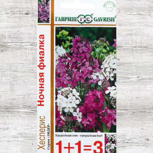 Хесперис Ночная фиалка, смесь окрасок Гавриш изображение 1 артикул 73710