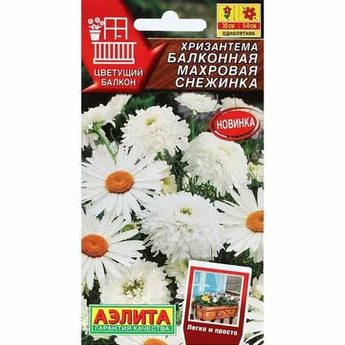 Хризантема балконная Махровая снежинка Аэлита изображение 1 артикул 99174
