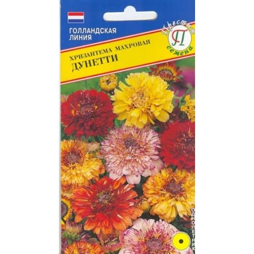 Хризантема Дунетти, смесь окрасок Престиж изображение 1 артикул 84565