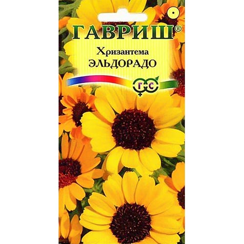 Хризантема Эльдорадо, семена изображение 1 артикул 92244