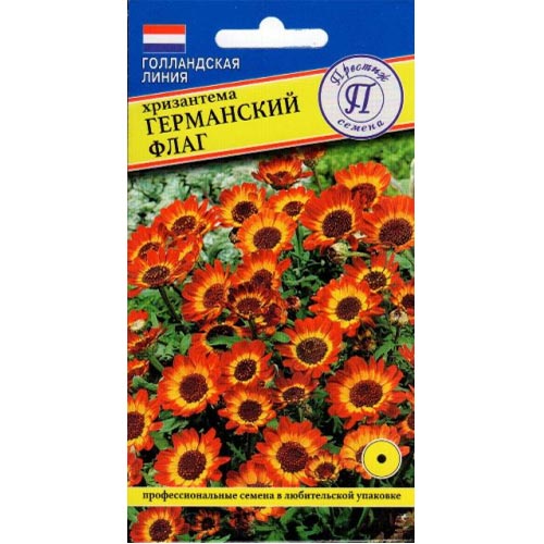 Хризантема Германский флаг Престиж изображение 1 артикул 84567