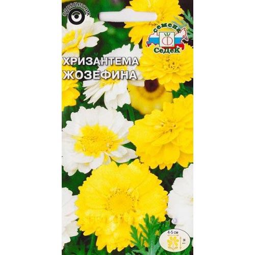 Хризантема Жозефина, смесь окрасок изображение 1 артикул 93996