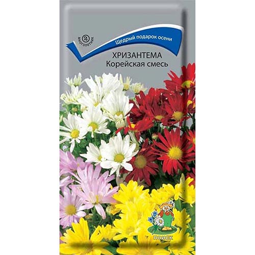 Хризантема Корейская, смесь окрасок изображение 1 артикул 93141